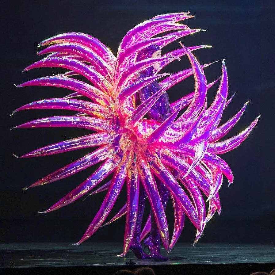 World of Wearable Art