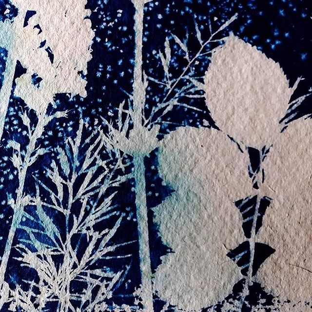On 01 Dec, Kim Conway @kimeconway is running a Cyanotype workshop at @resortstudios . The workshop is subsidised by @s.e.creatives at a reduced cost of &pound;25 per person! 💎 #seccads . Link in bio!