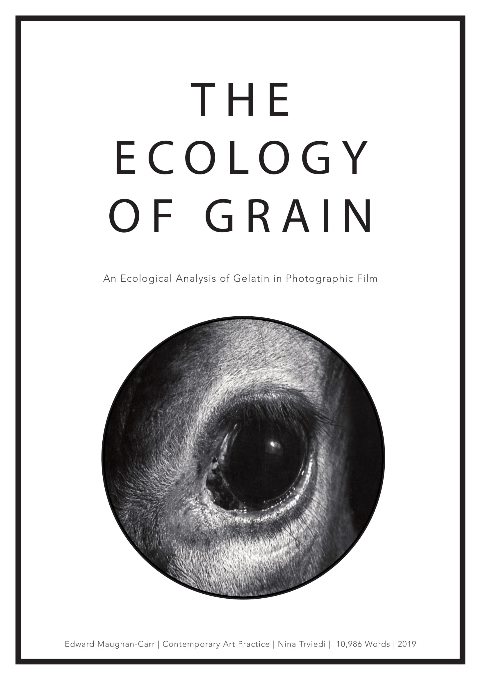 the_ecology_of_grain_1-01.jpg