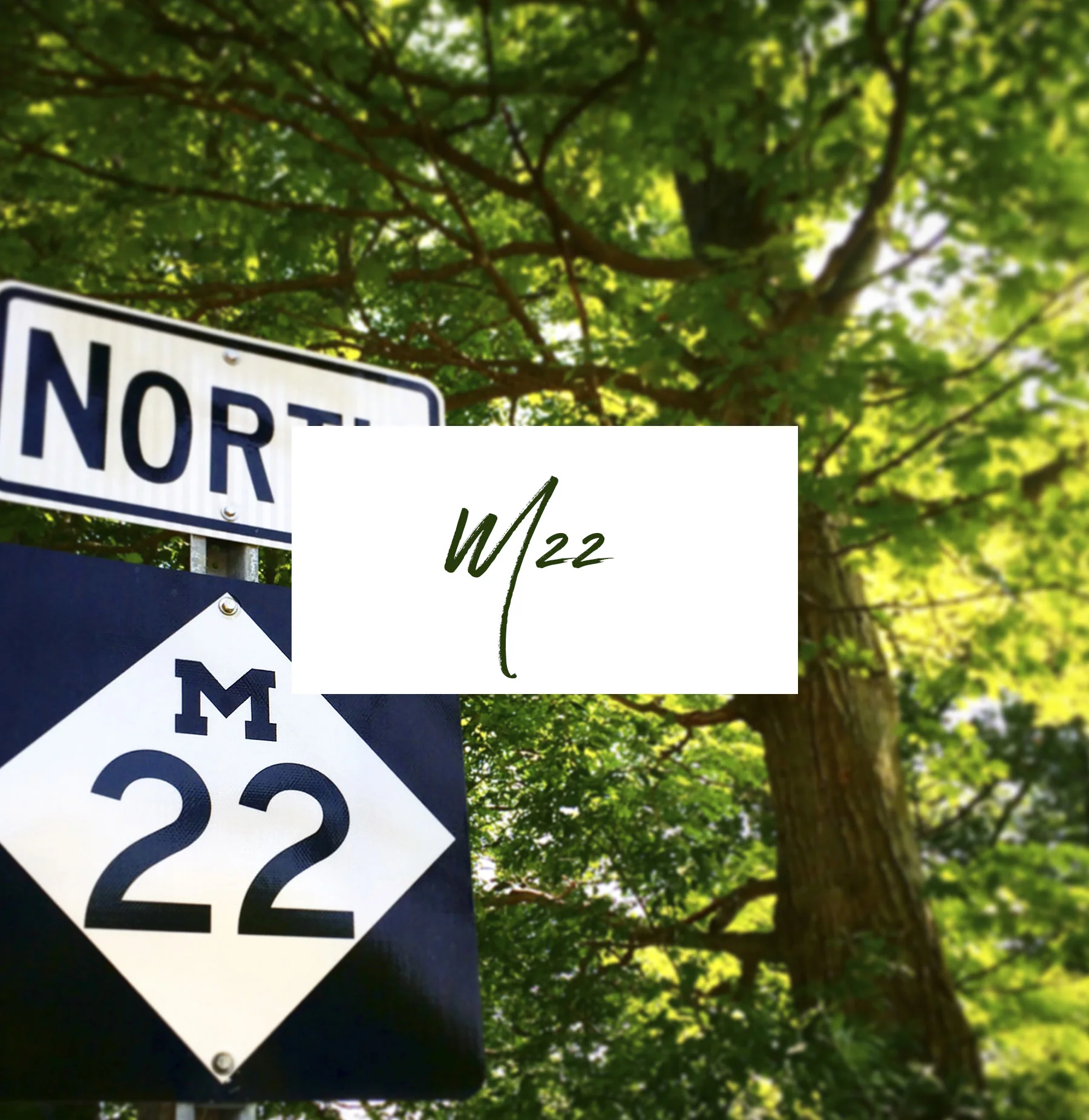 M22 FOLLOWS THE LAKE MICHIGAN SHORE FOR ALMOST 120 MILES OF THE LEELANAU PENINSULA COAST. IT'S A BEAUTIFUL DRIVE THROUGH A TUNNEL OF TREES WITH VIEWS OF THE LAKE AND CUTE TOWNS SCATTERED ALL ALONG.