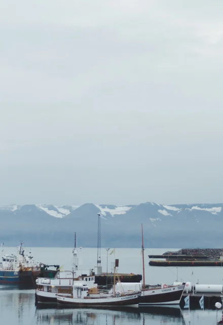 iceland-day6-28.jpg