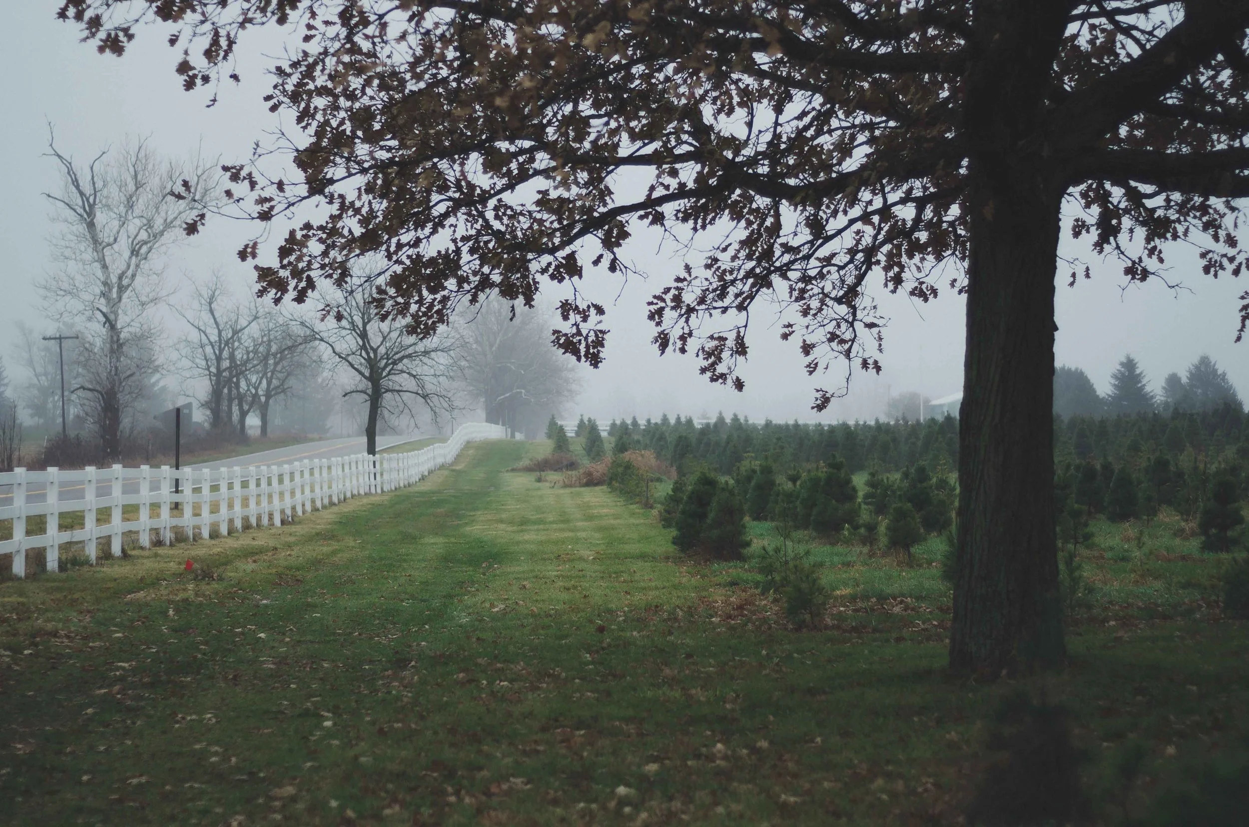 fall-8.jpg