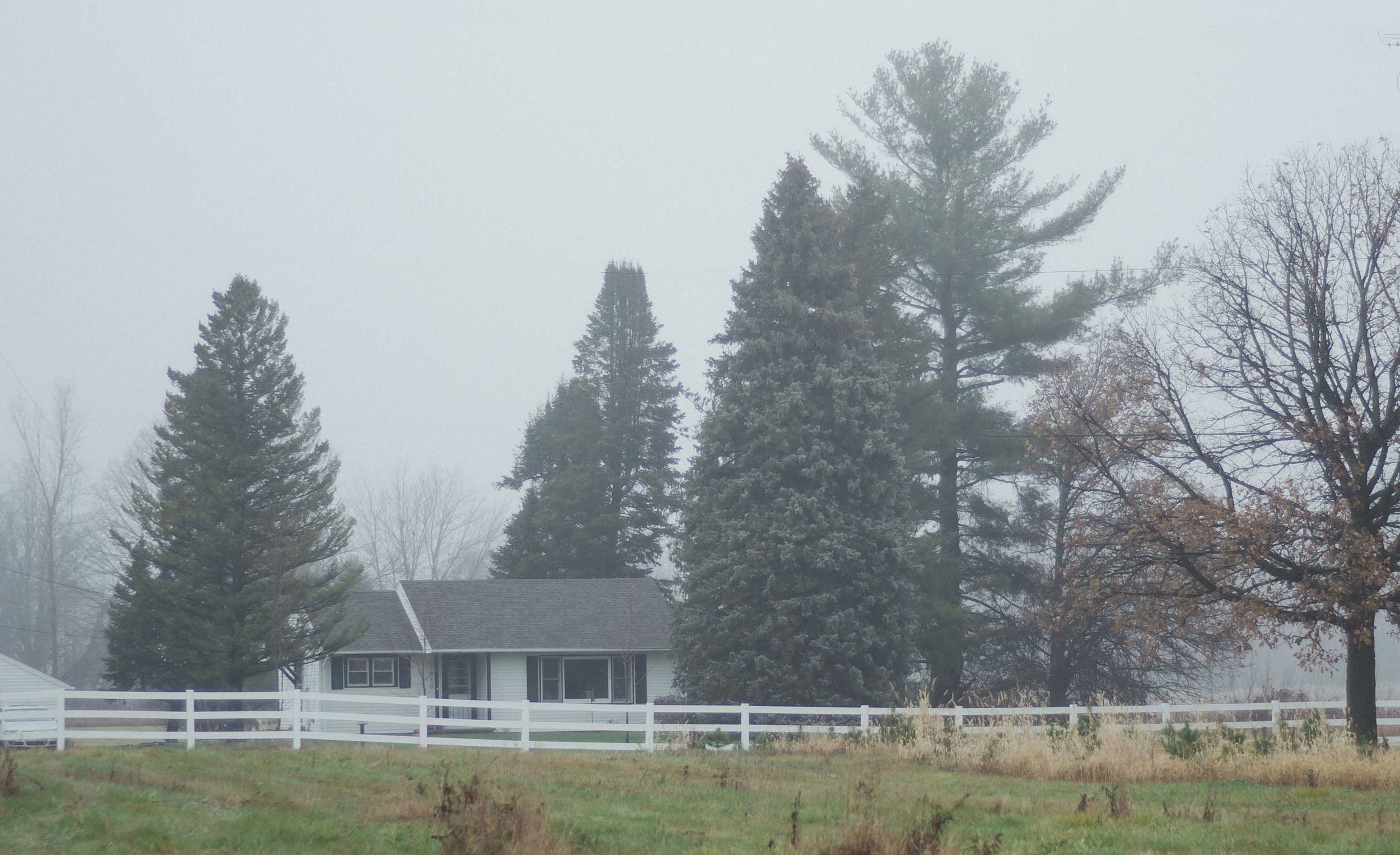 fall-9-2.jpg