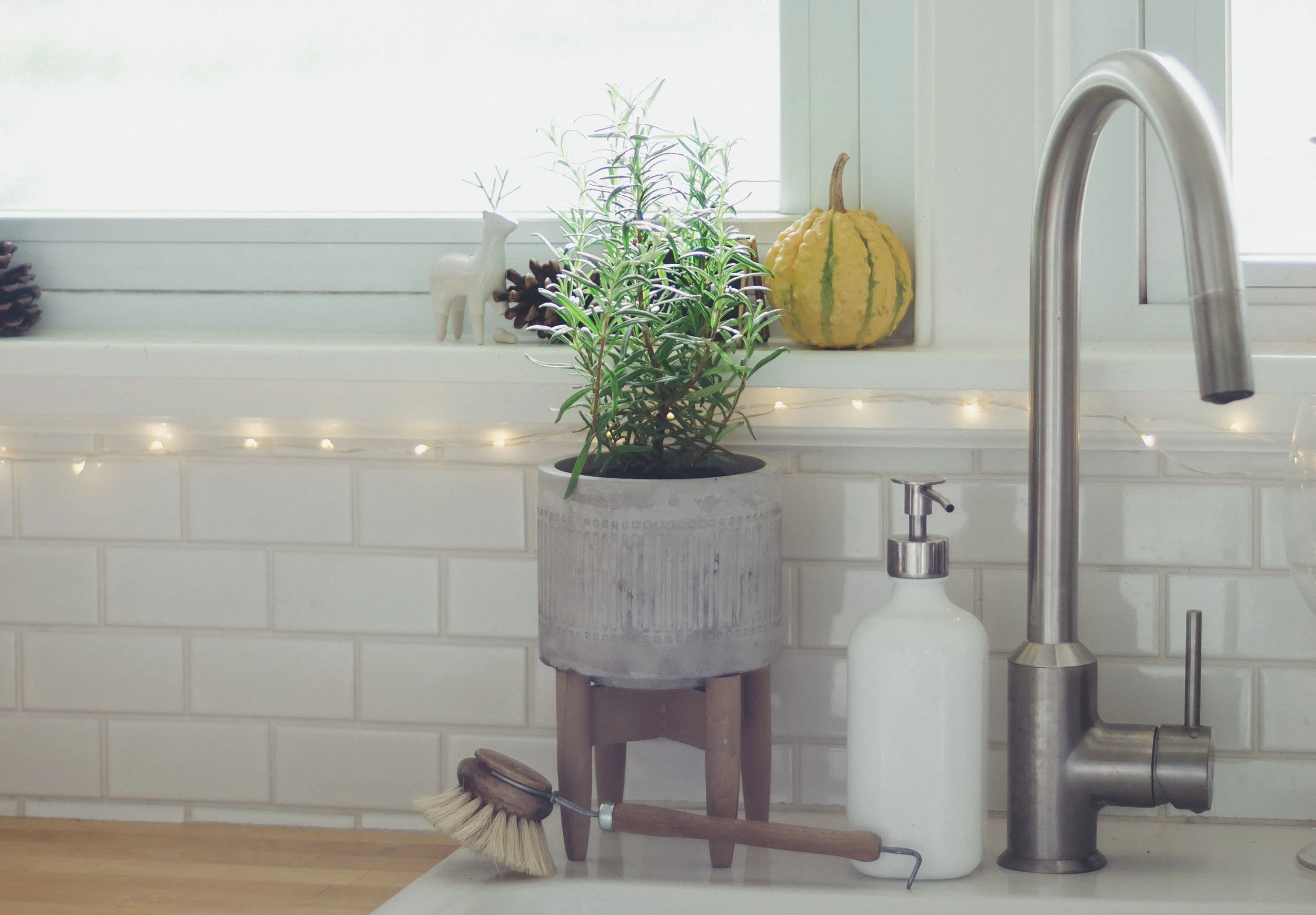 plants-1.jpg