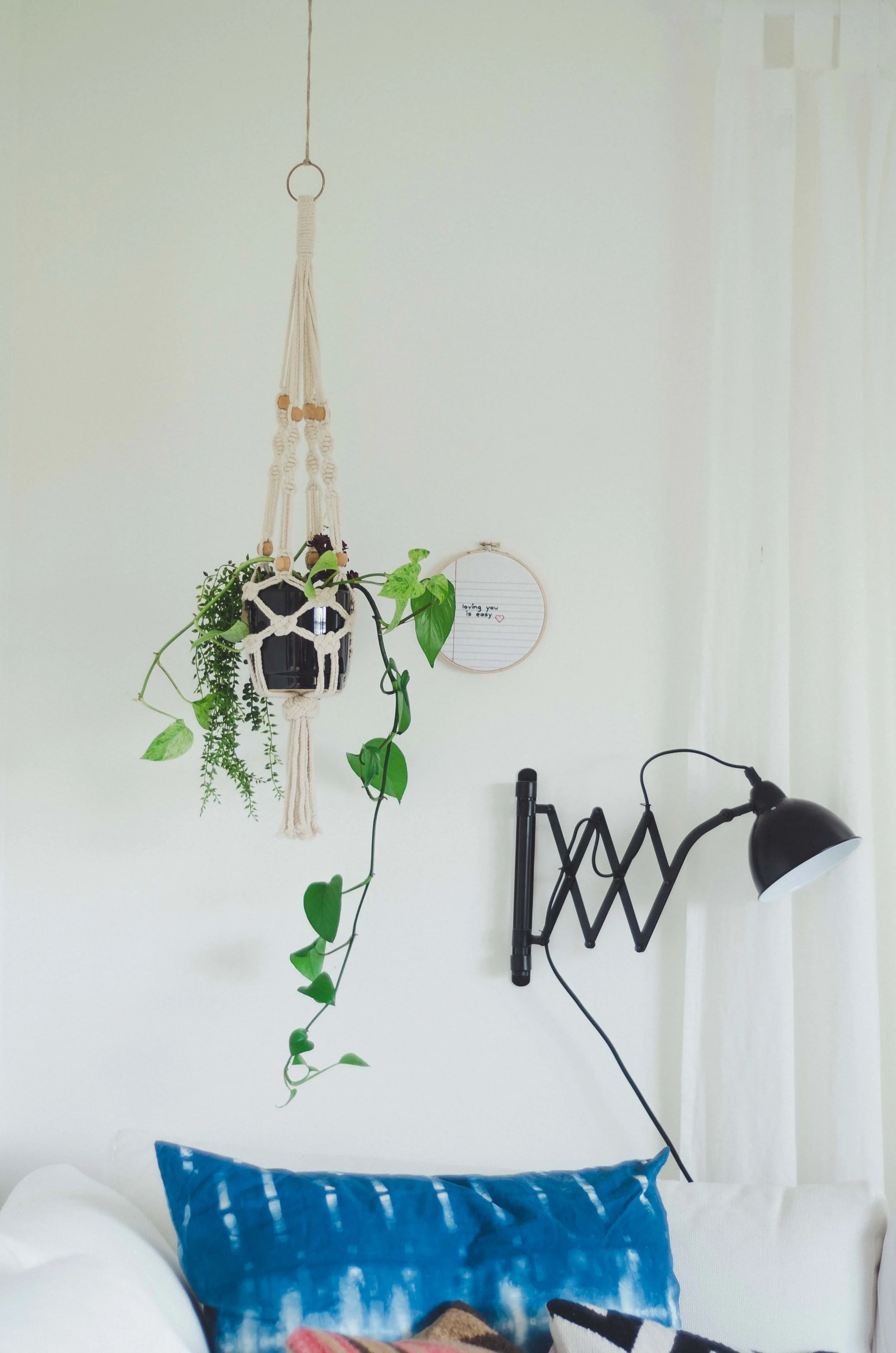plants-13.jpg