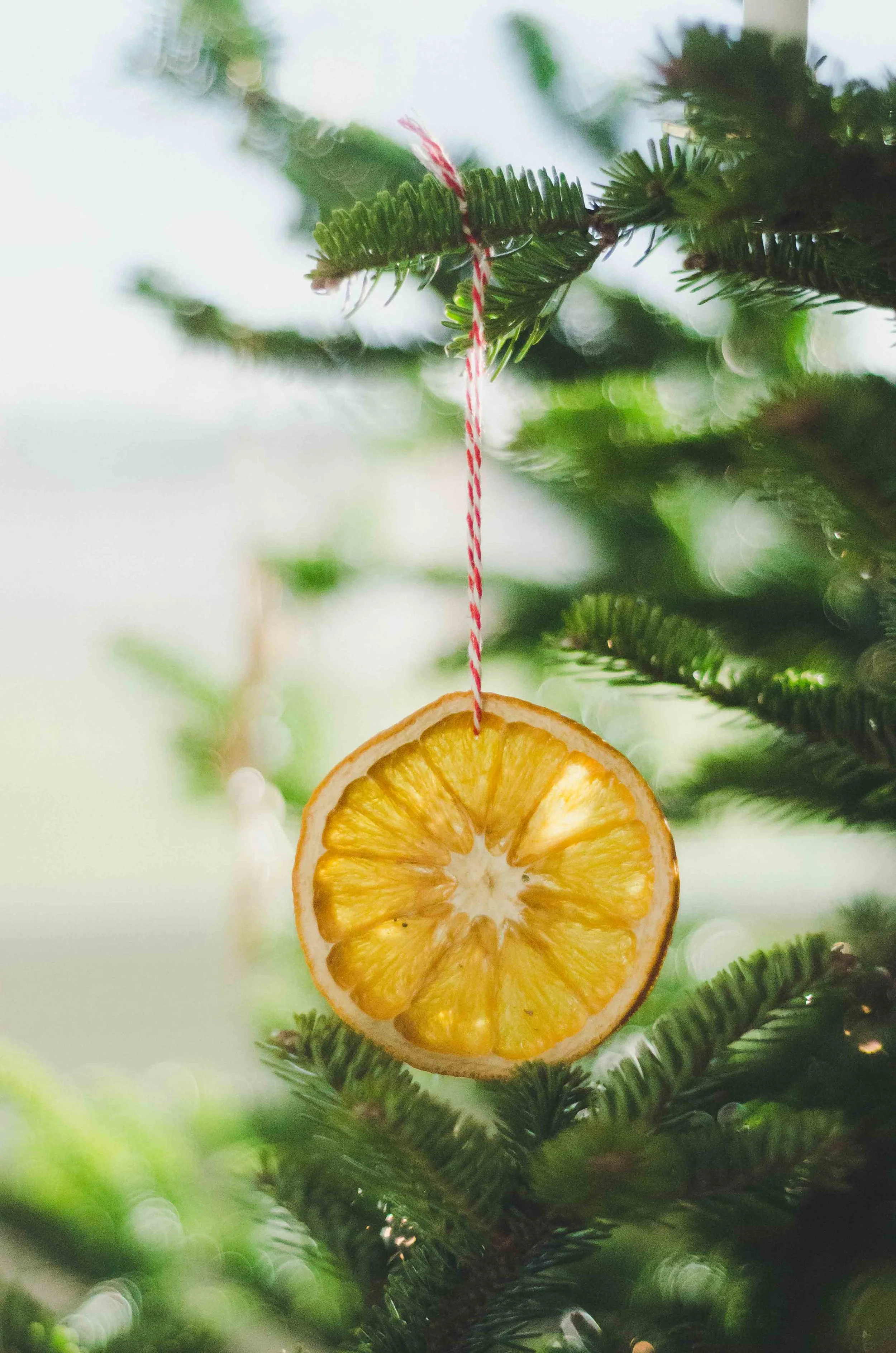 christmas-13.jpg