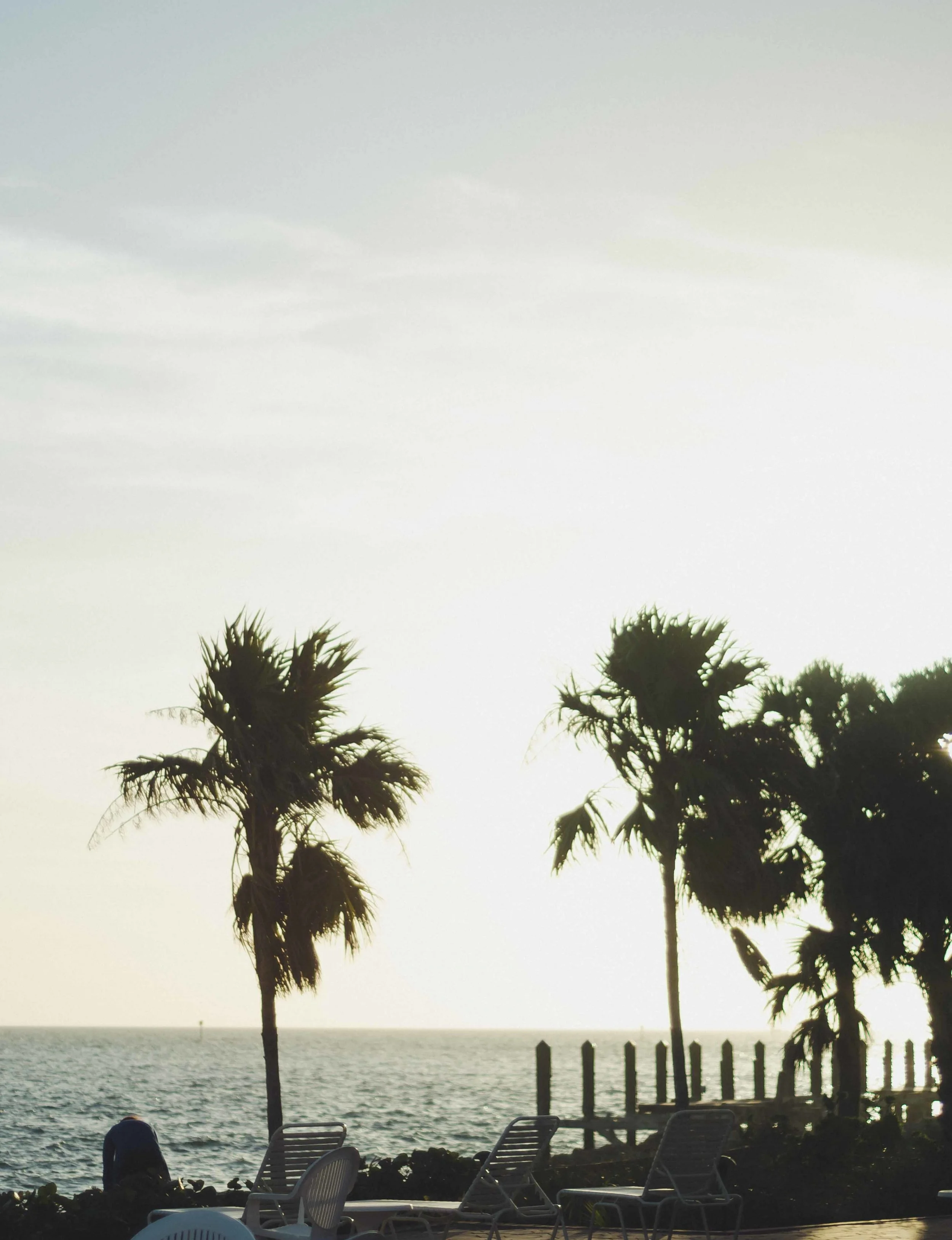 florida-9.jpg