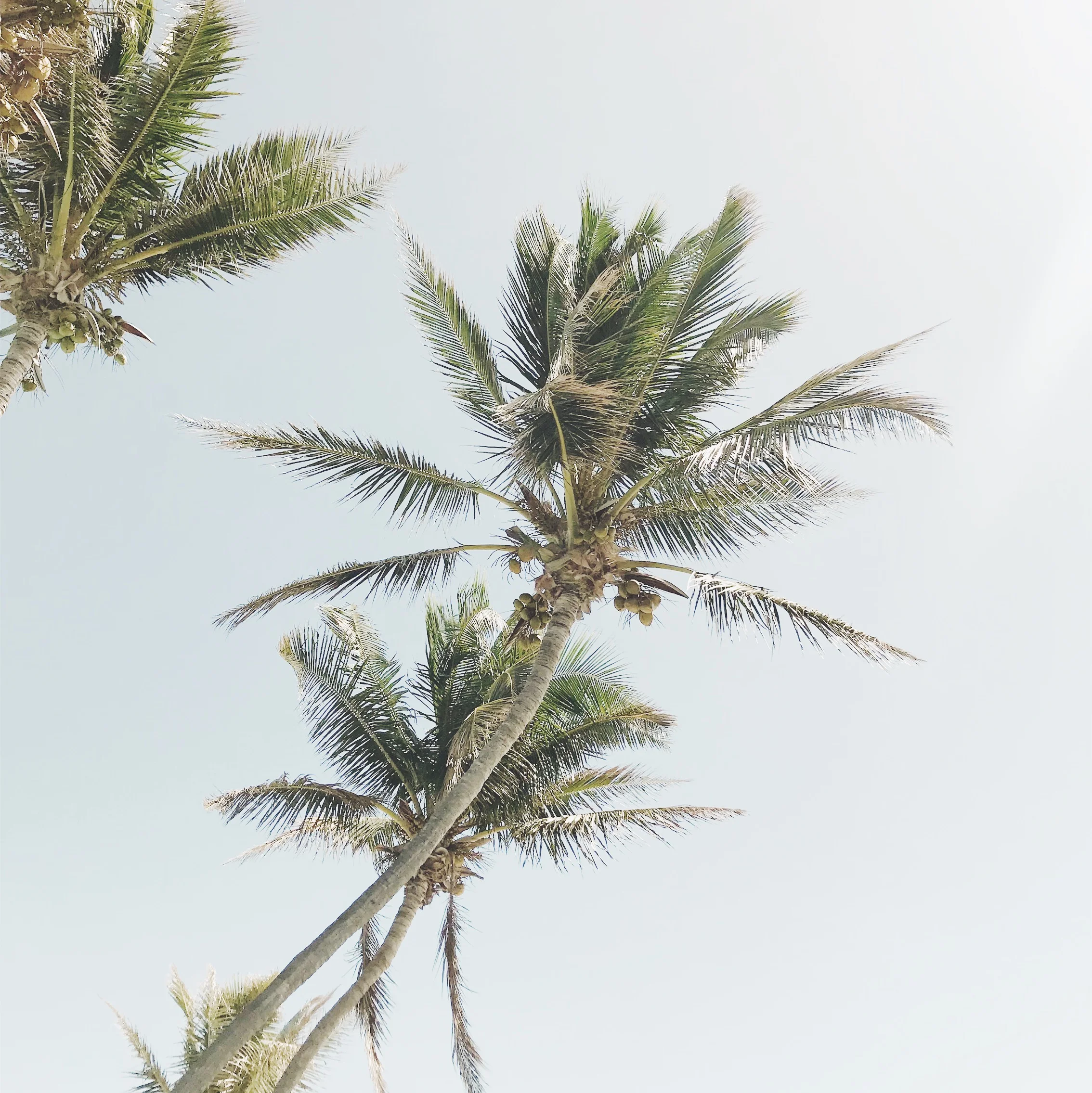 VSCO Cam-18.jpg