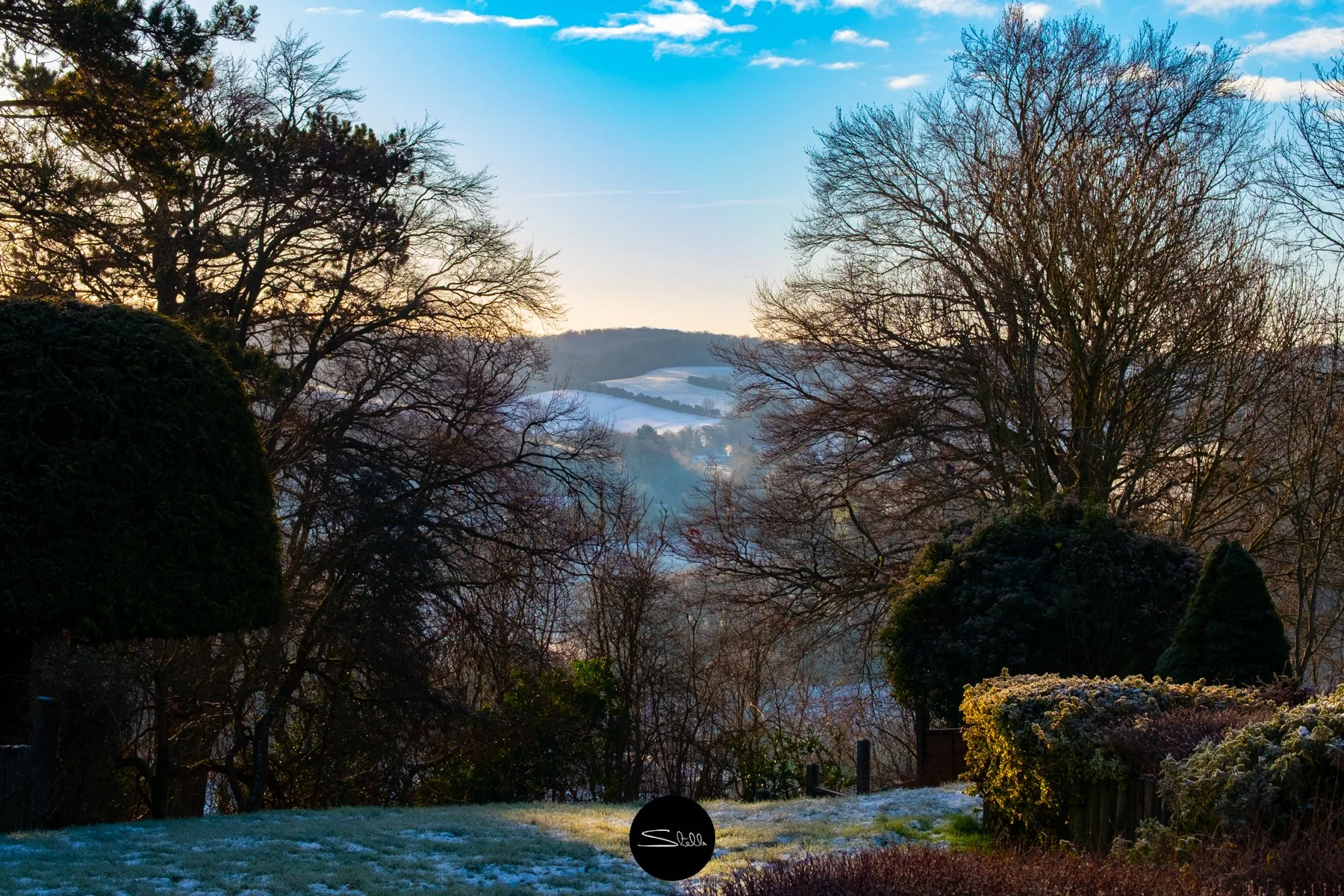 Stella Scordellis Snow Time 1127.jpg