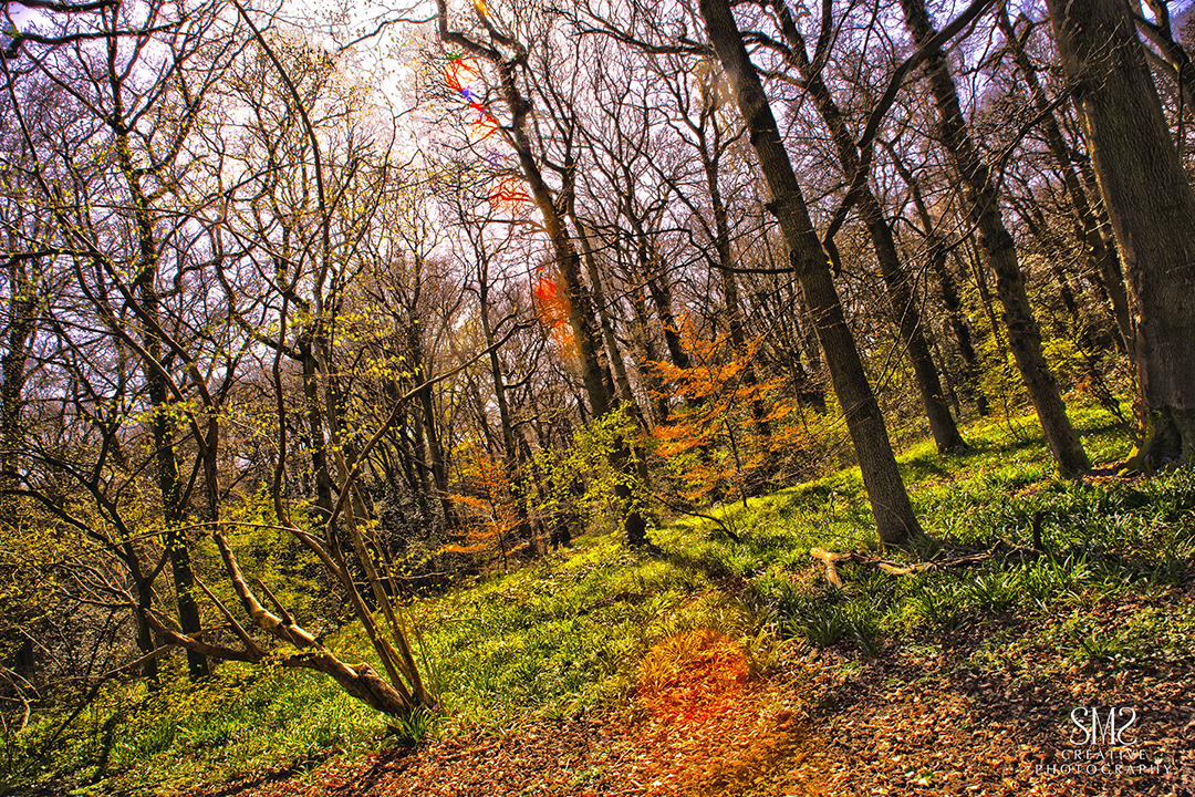 Autumn HDR