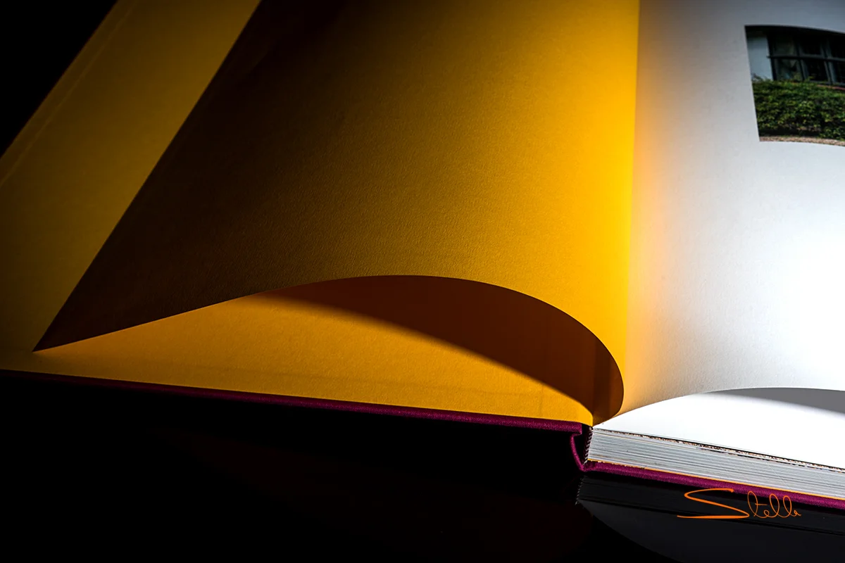 Stella_201802_Book_3.jpg