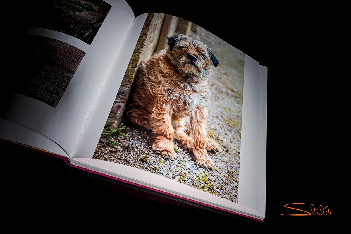 Stella_201802_Book_5.jpg