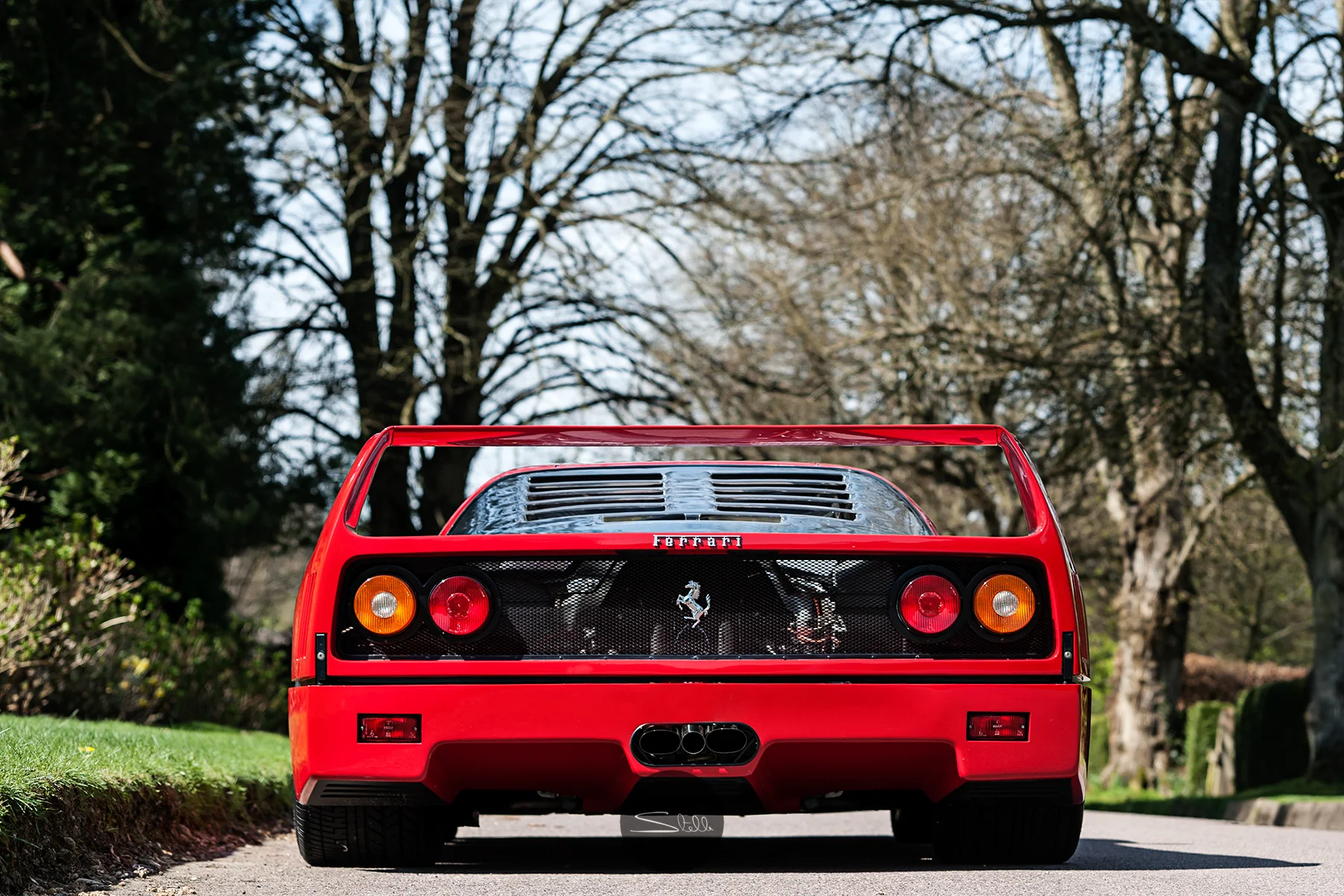 Stella Scordellis Ferrari F40 Back Watermarked.jpg