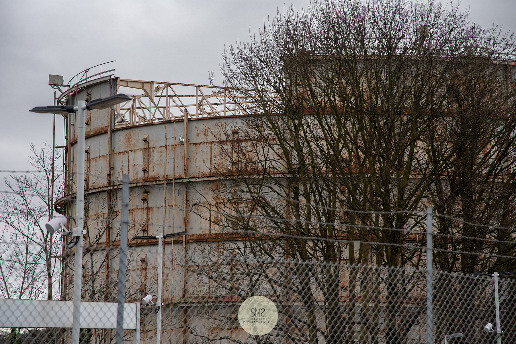 The trusses are clearly visible in the roof