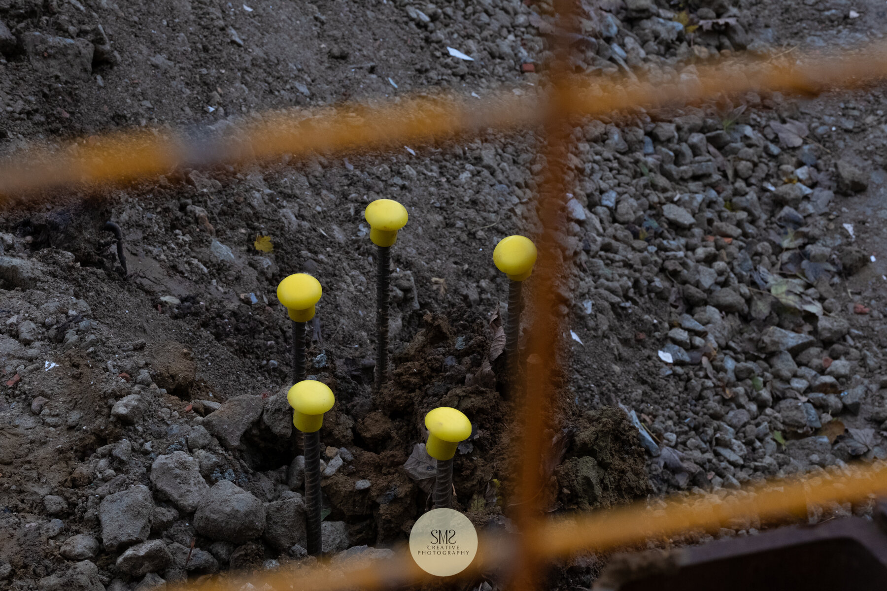  The top of one of the cages once insertion has taken place. 