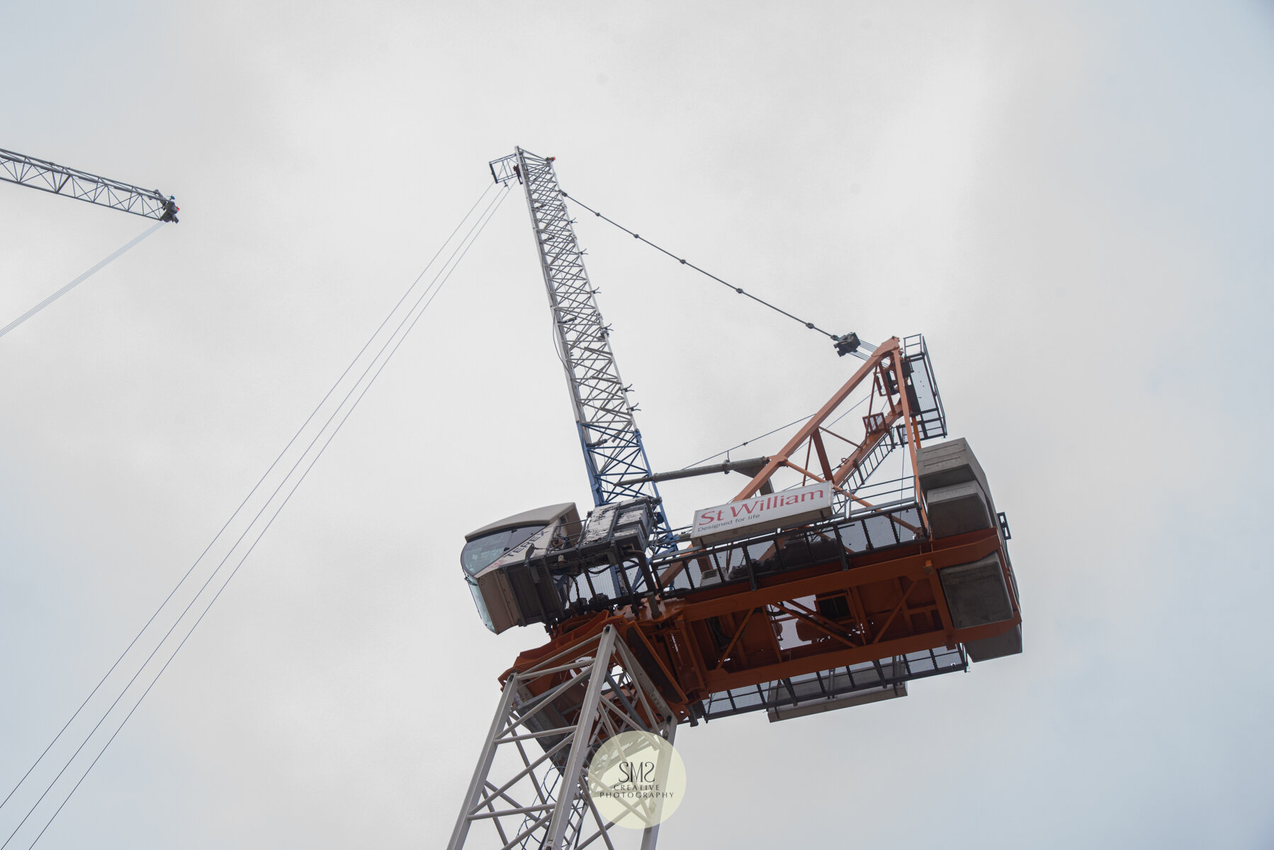  Looking up at one of the two cranes. 