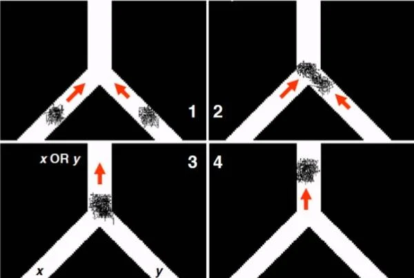 If swarms of crabs start at either x or y then there will be an output at the top. 