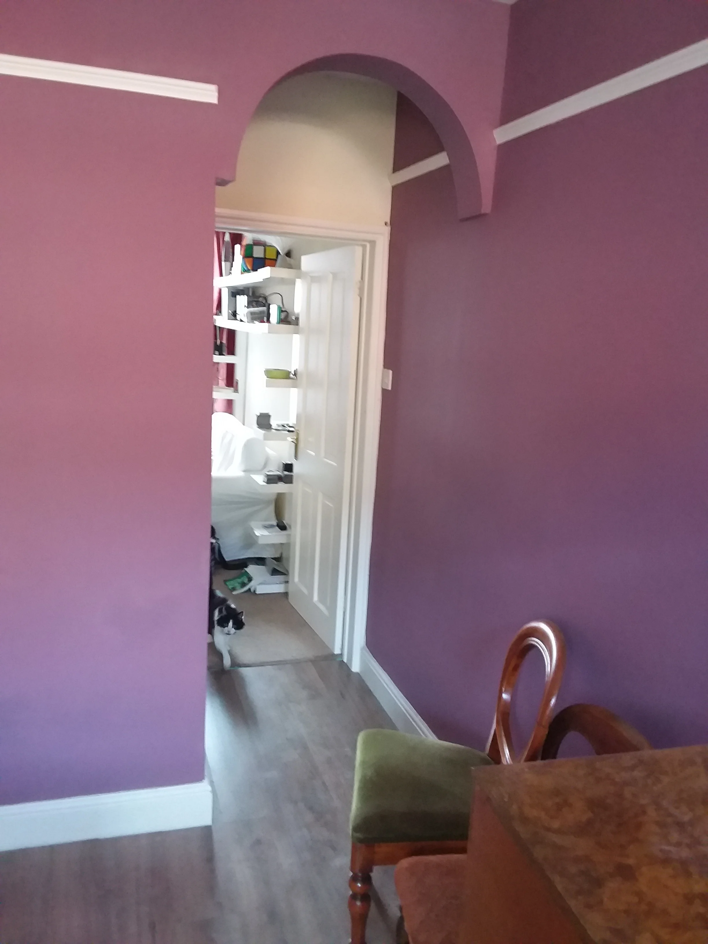 Happier cat. Archway complete.