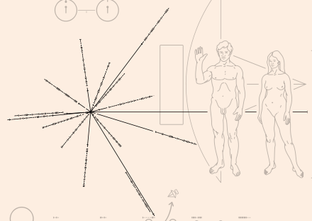 Location of local pulsars