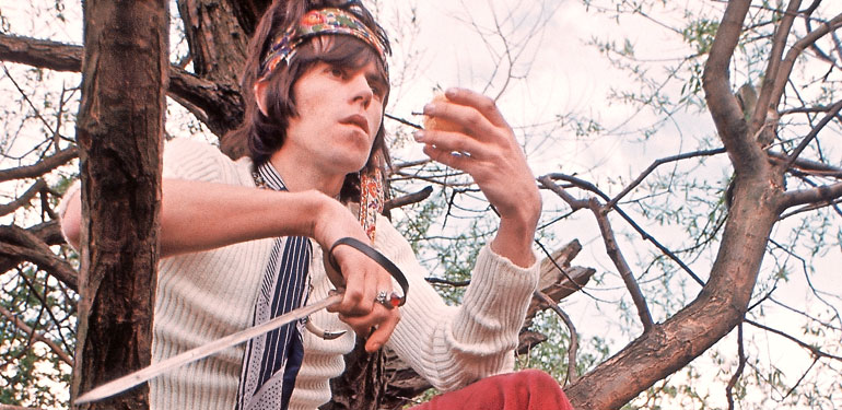 keithrichardsinatree.jpg