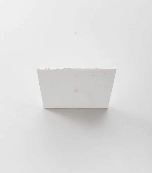 Fernanda Gomes Sem título, 2015 tinta latex s/ madeira, fio de linho e prego, 30 x 30 cm Untitled, 2015 latex ink on wood, flax yarn and nail, 11 13/16 x 11 13/16 inches