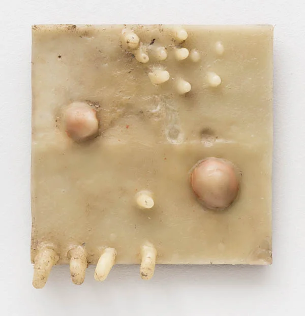 Carlito Carvalhosa Sem título , 1992 cera, óleo e pigmento s/ tela, s/ madeira, 30 x 30 cm Untitled , 1992 wax, oil and pigment on canvas and wood, 11 13/16 x 11 13/16 inches