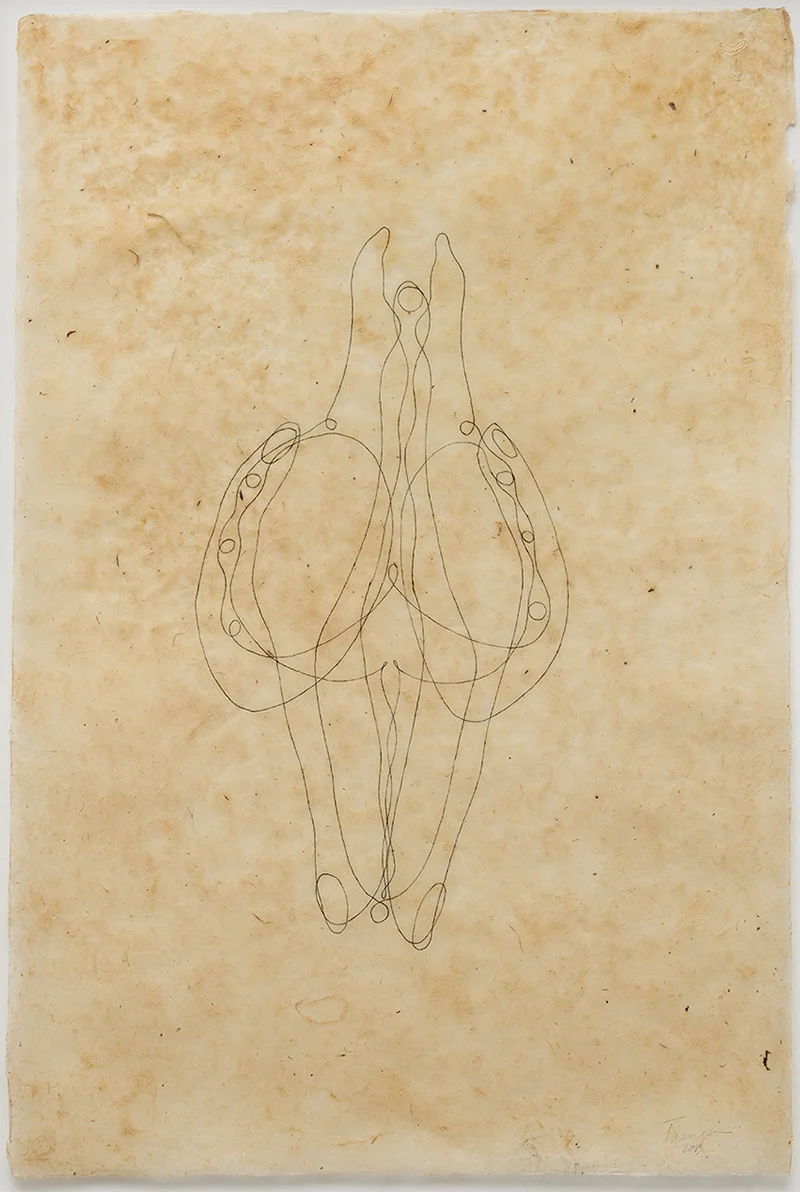 Tunga, Sem título , da série La Voie Humide | Untitled, from La Voie Humide , 2014, tinta sobre papel do Himalaia | i nk on Himalayan paper, 75 x 50 cm | 29 1/2 x 19 11/16" – Cortesia do Acervo Tunga | Courtesy of the Estate of Tunga – Foto | Photo: Ding Musa