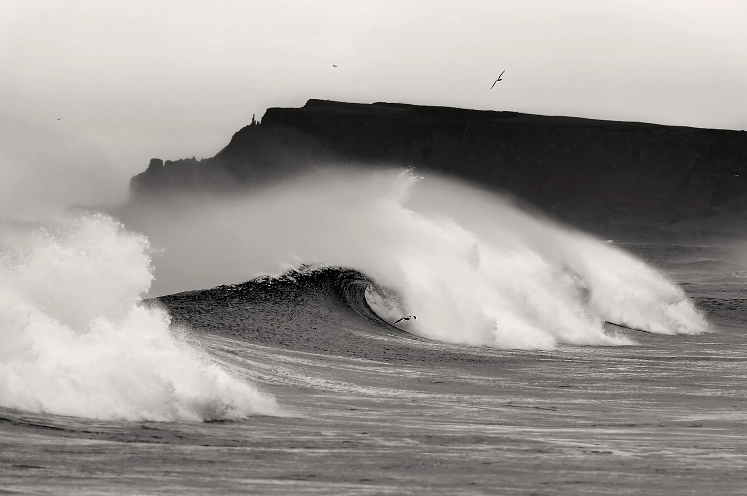 Causeway Surf. Pic by Andrew Hill