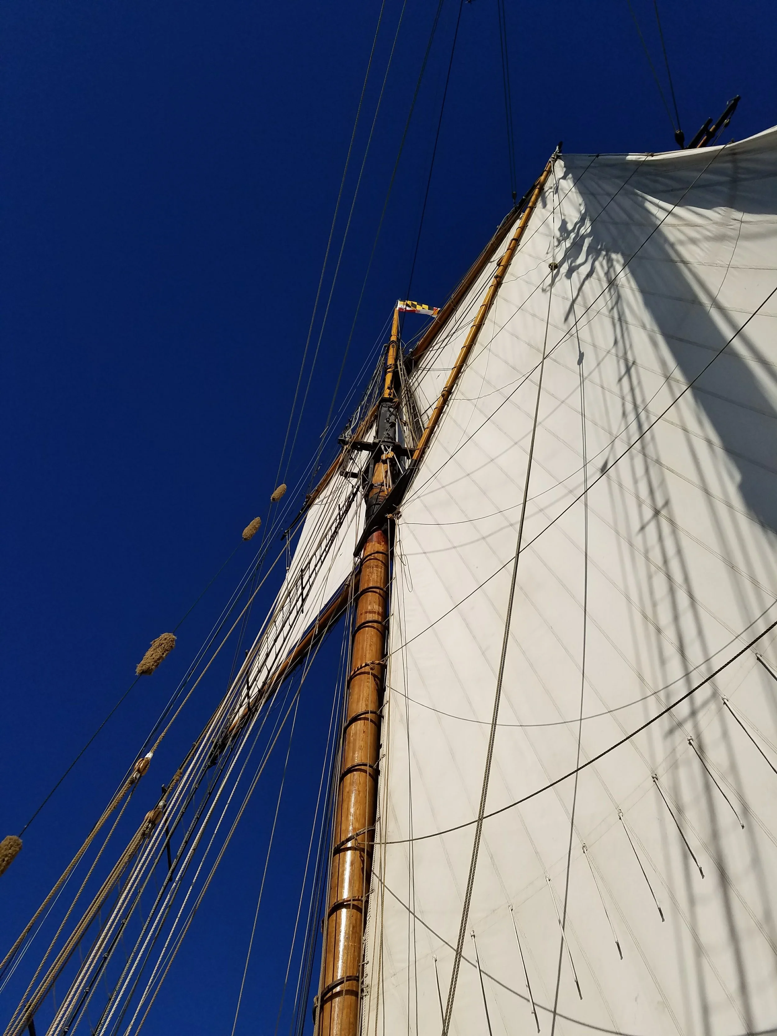 20161112_144817.jpg