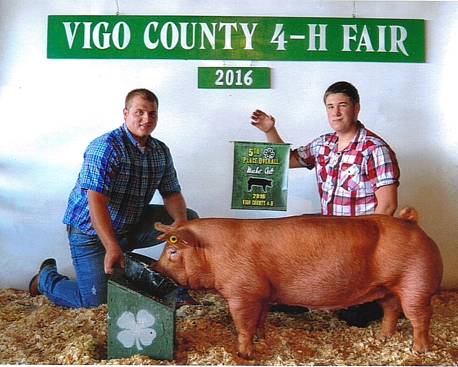 5th Overall Market Gilt