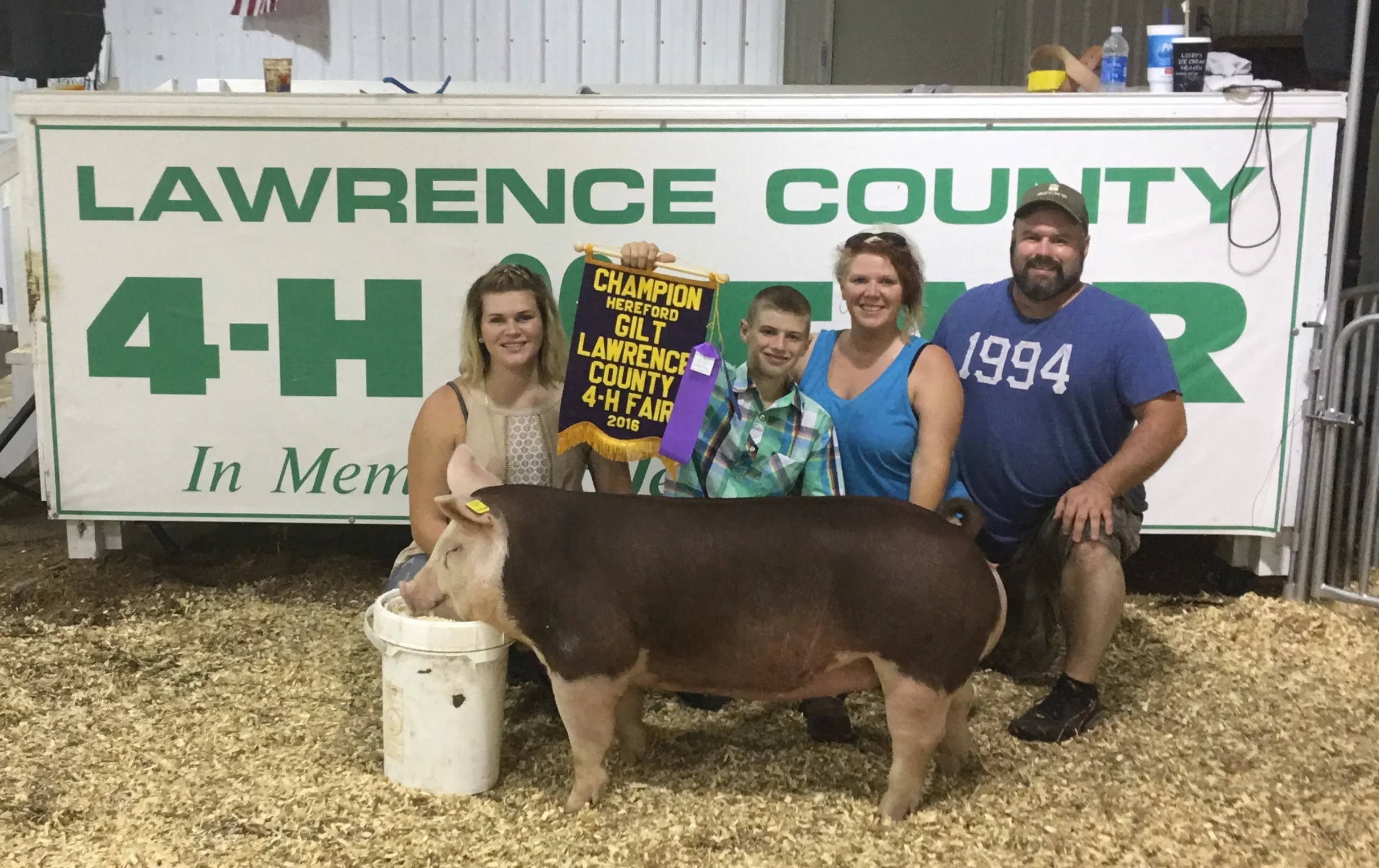 Champion Hereford Gilt