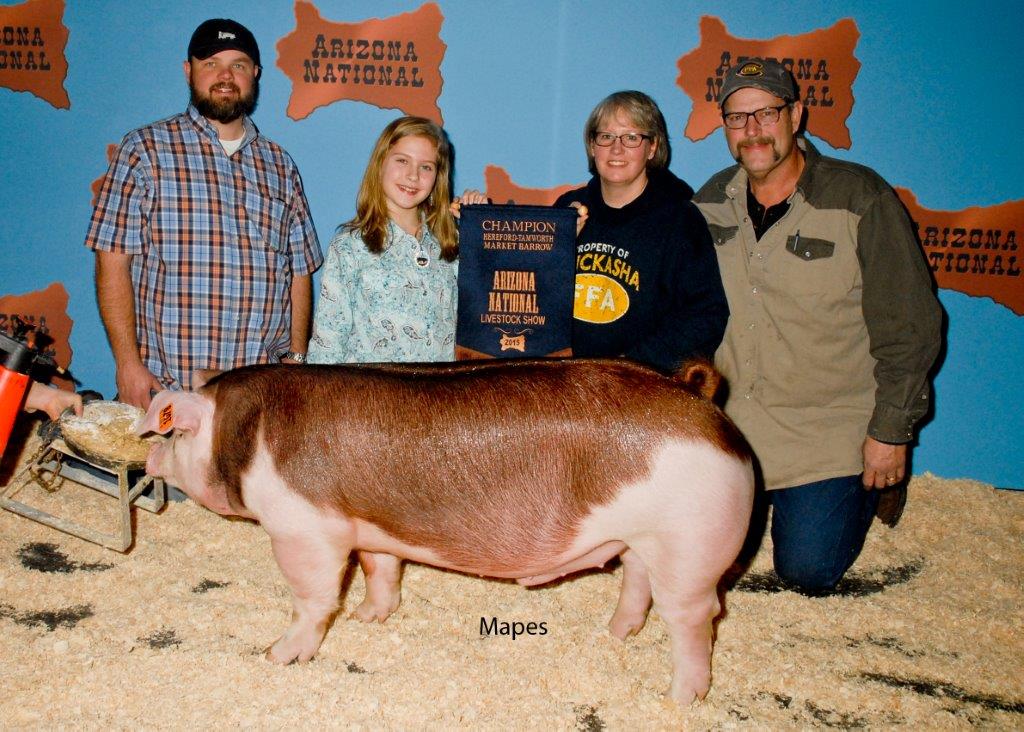 Champion Hereford Barrow