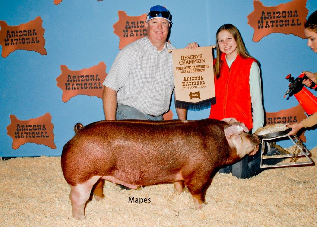 Reserver Champion Hereford Barrow