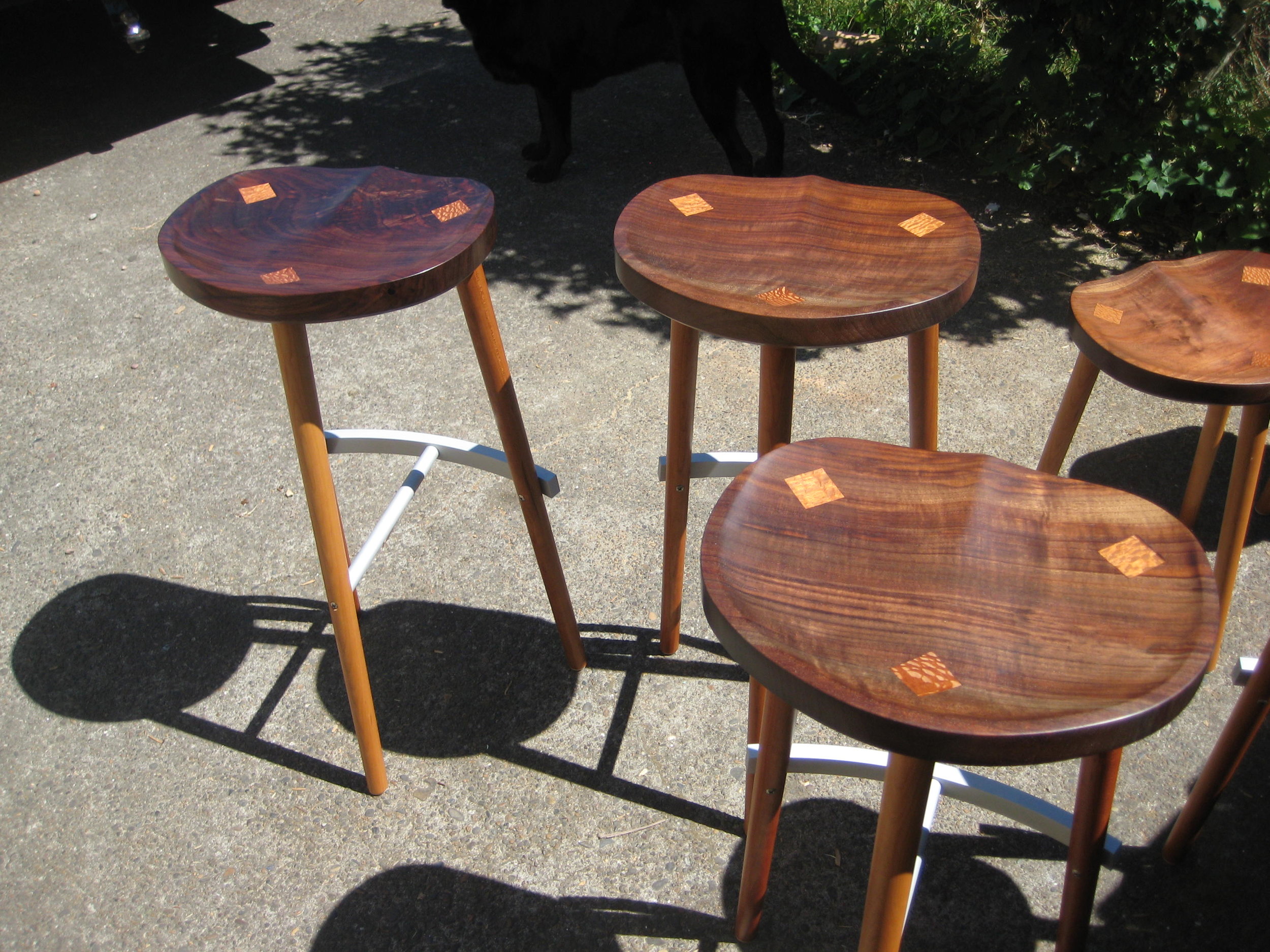 genereal photos 2011.2012 410.JPG