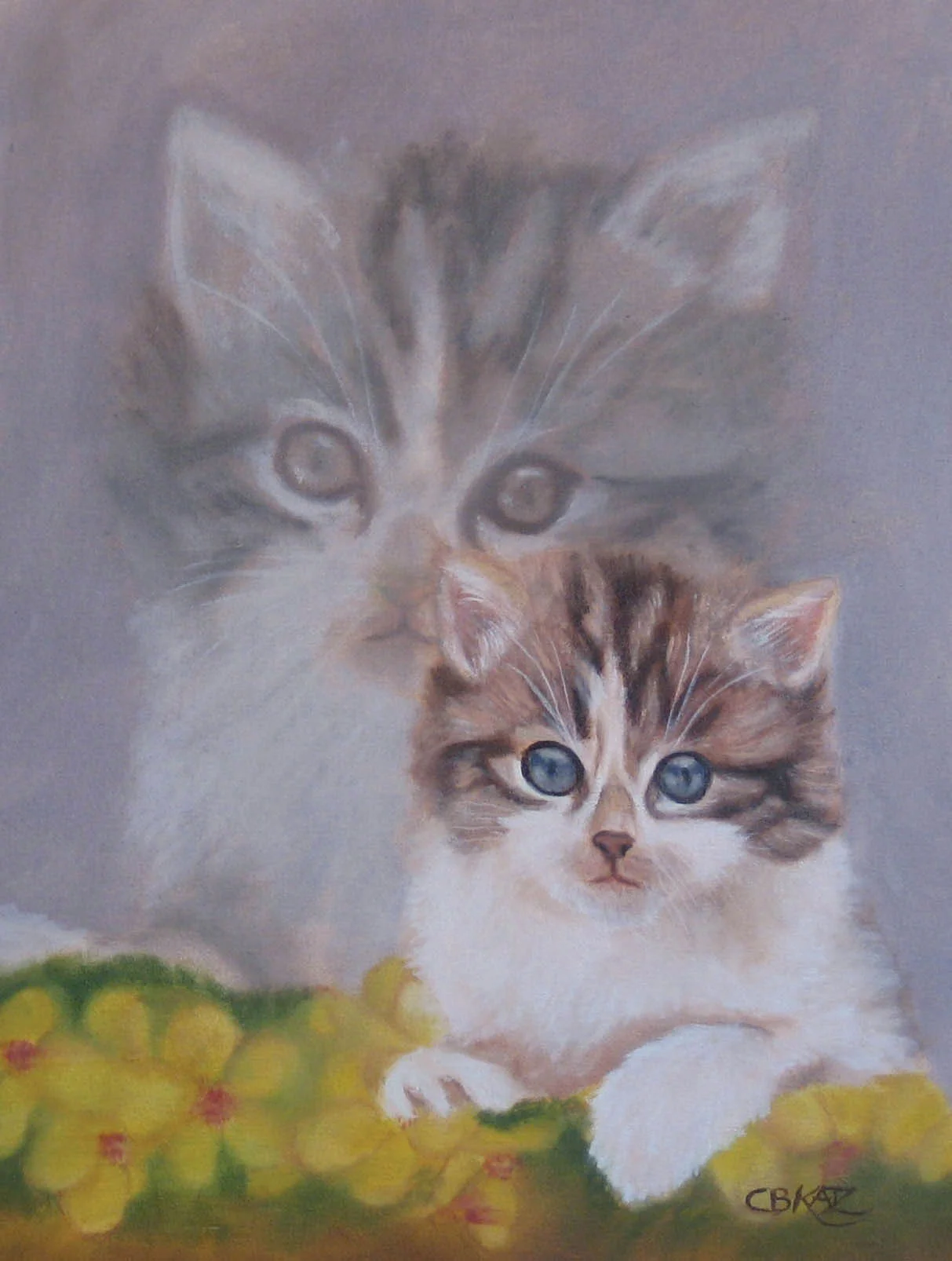 Little Kitty