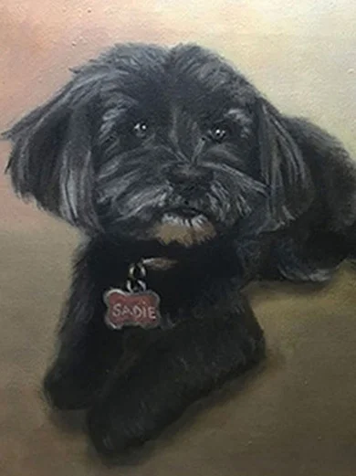 Sadie%252Brevised%252Bfor%252Bwebstie.jpg
