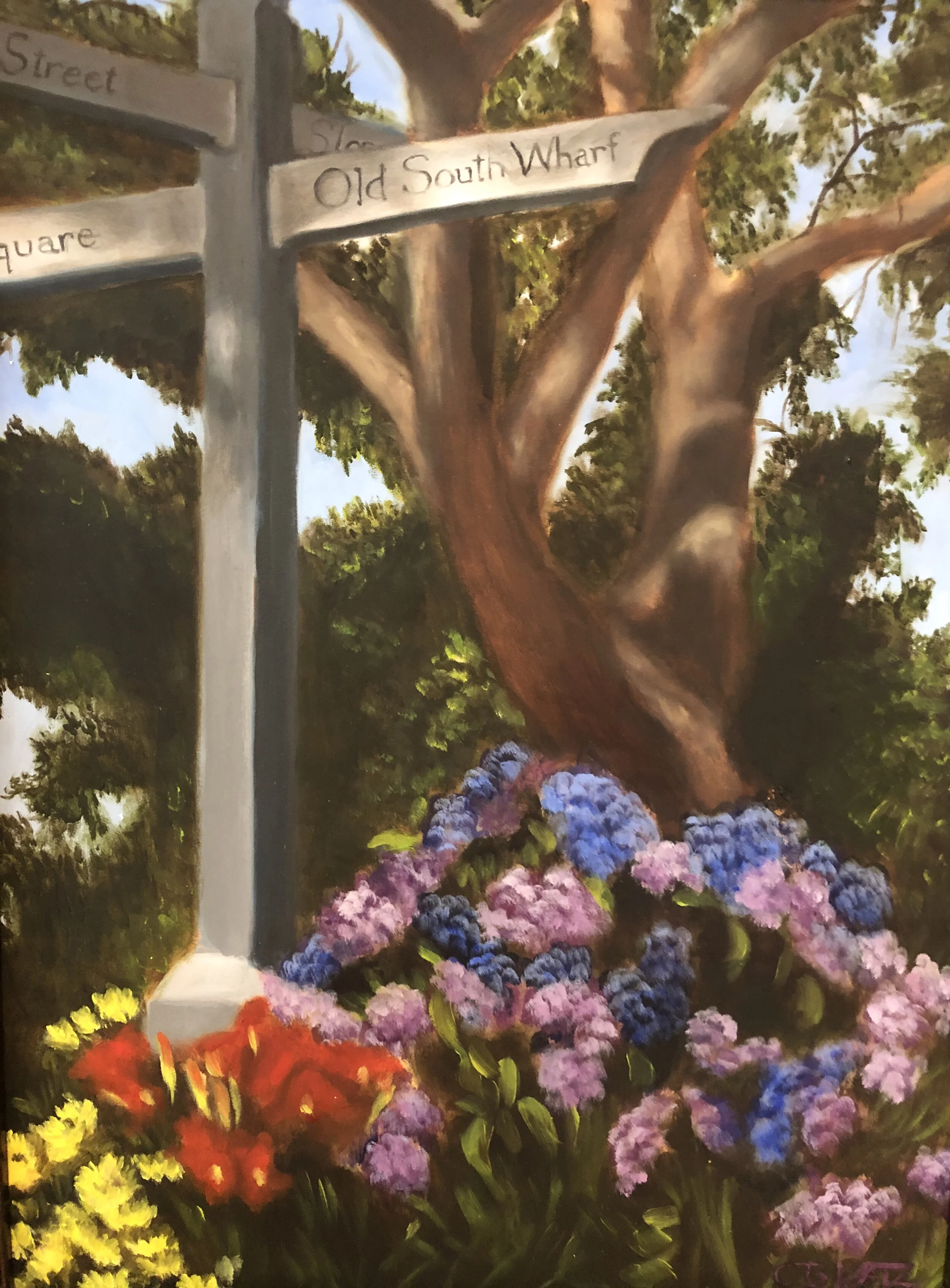 Nantucket Hydrangeas