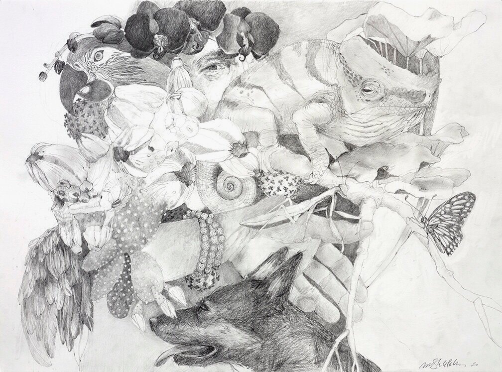 MORPHIC FIELD