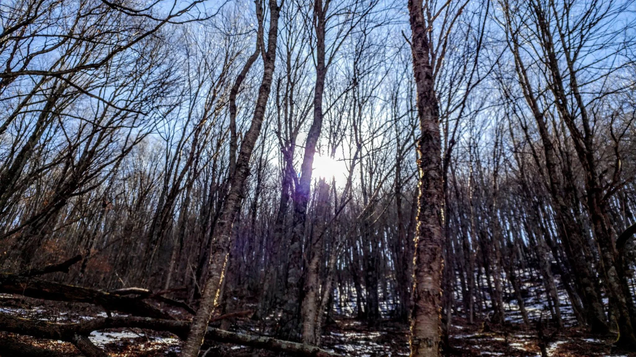 Look for the Light