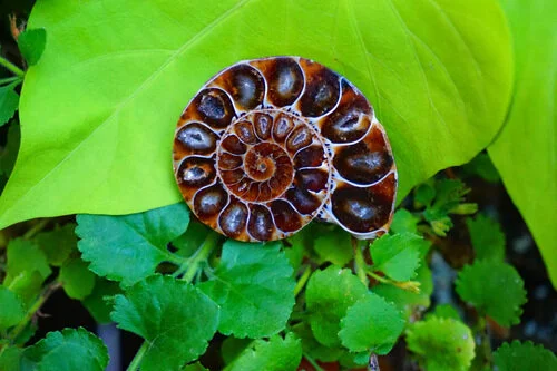 image-asset (2).jpeg