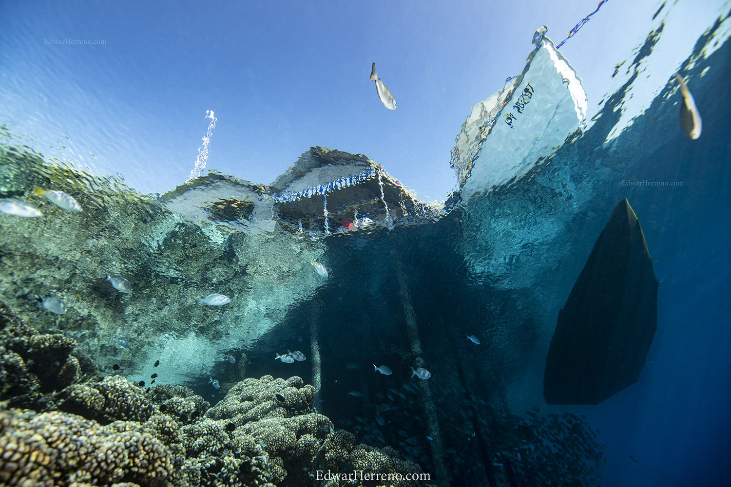 Fakarava - French Polynesia. Shot on assignment for Ocean Blue Tree.