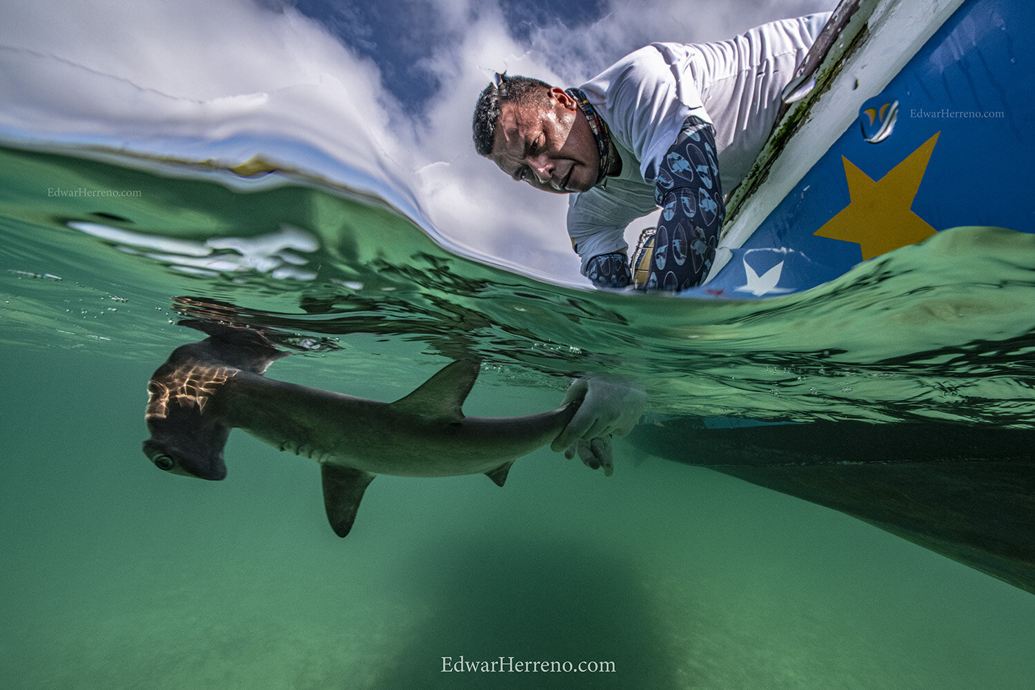 Ecuadorian scientists working in a hammerhead shark nursery area - Galapagos. 