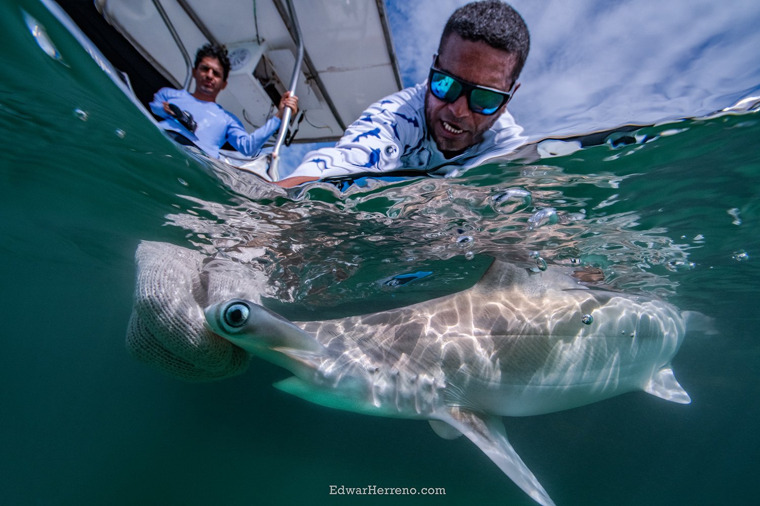 Releasing a Hammerhead. Golfito - Costa Rica.