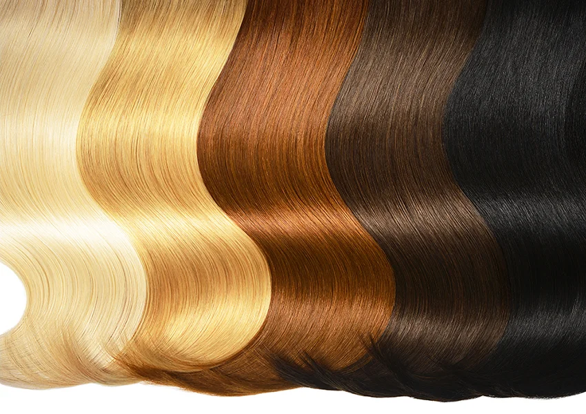 Deycke.600.5.Haircolors.jpg