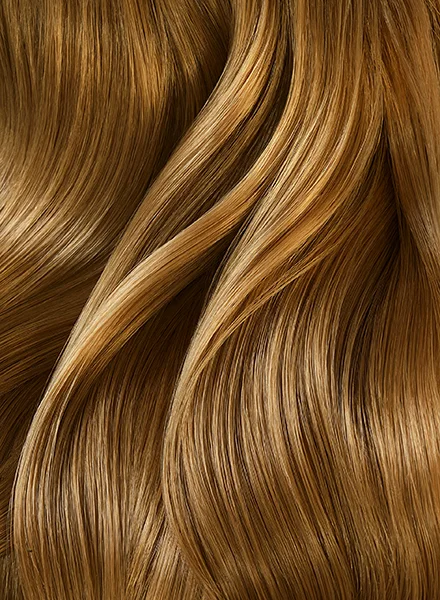 Deycke.600.TheArchitectureOfHair.jpg