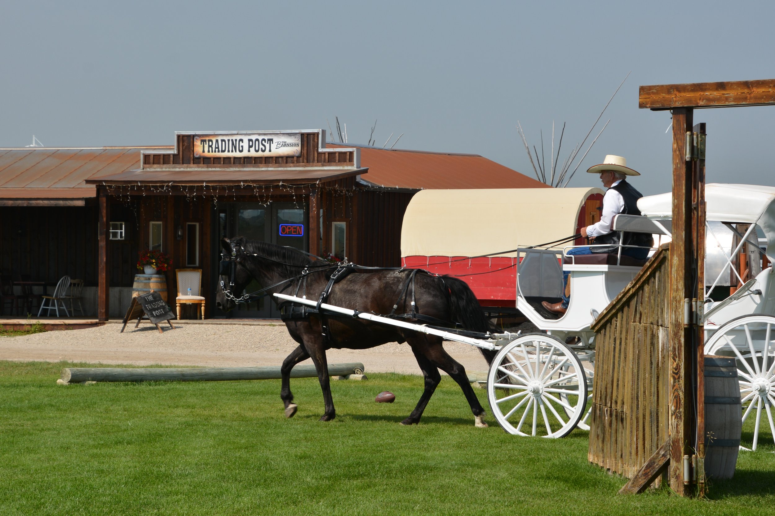 DSC_3536.JPG