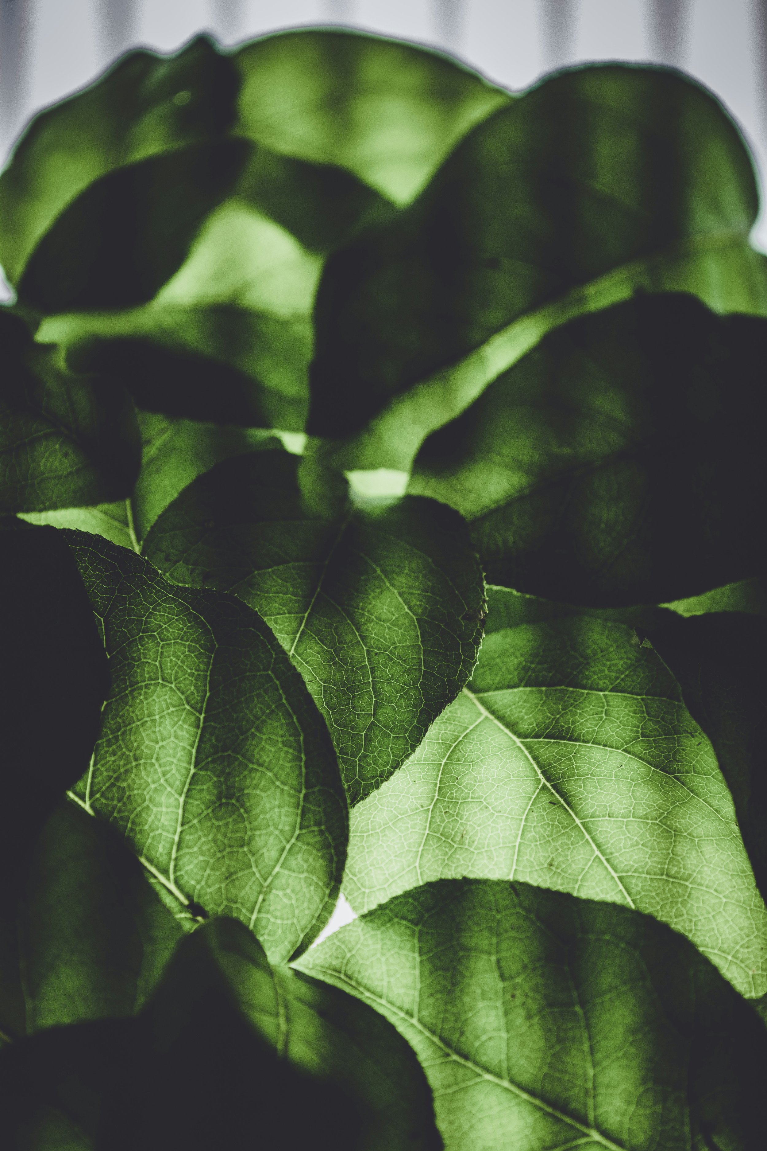 annie-spratt-0HCmbWGfYx8-unsplash.jpg