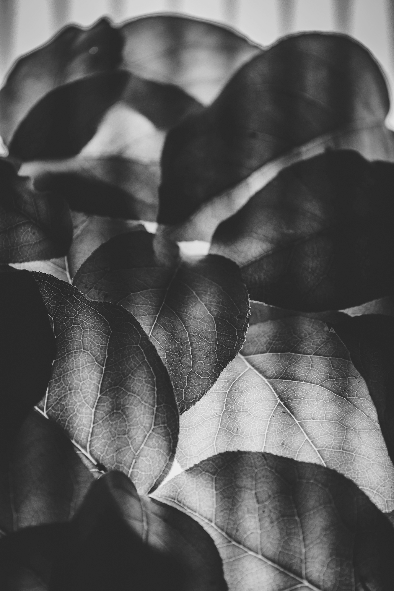 Leave_B&W.png