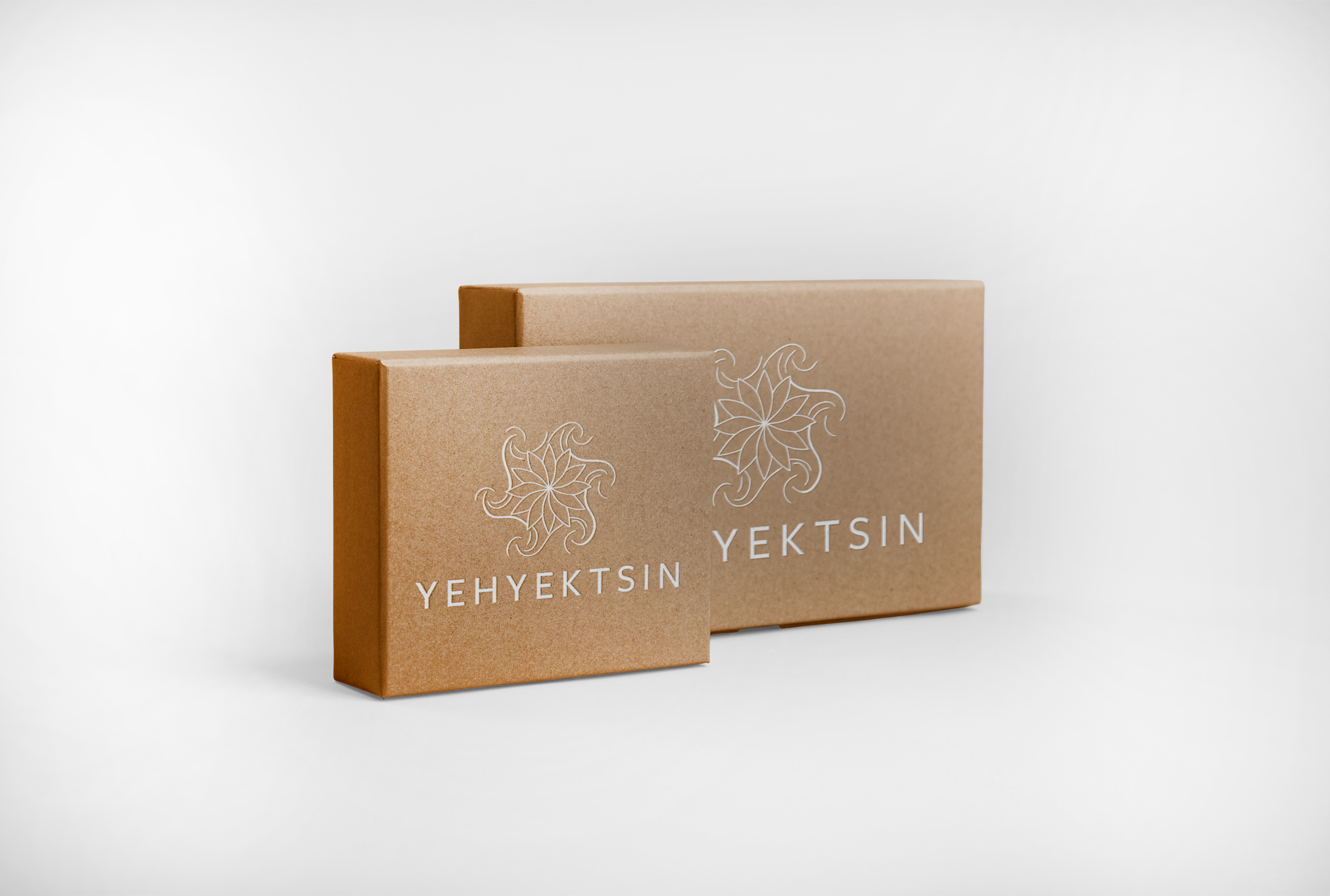 Yehyektsin_Boxes_2.png
