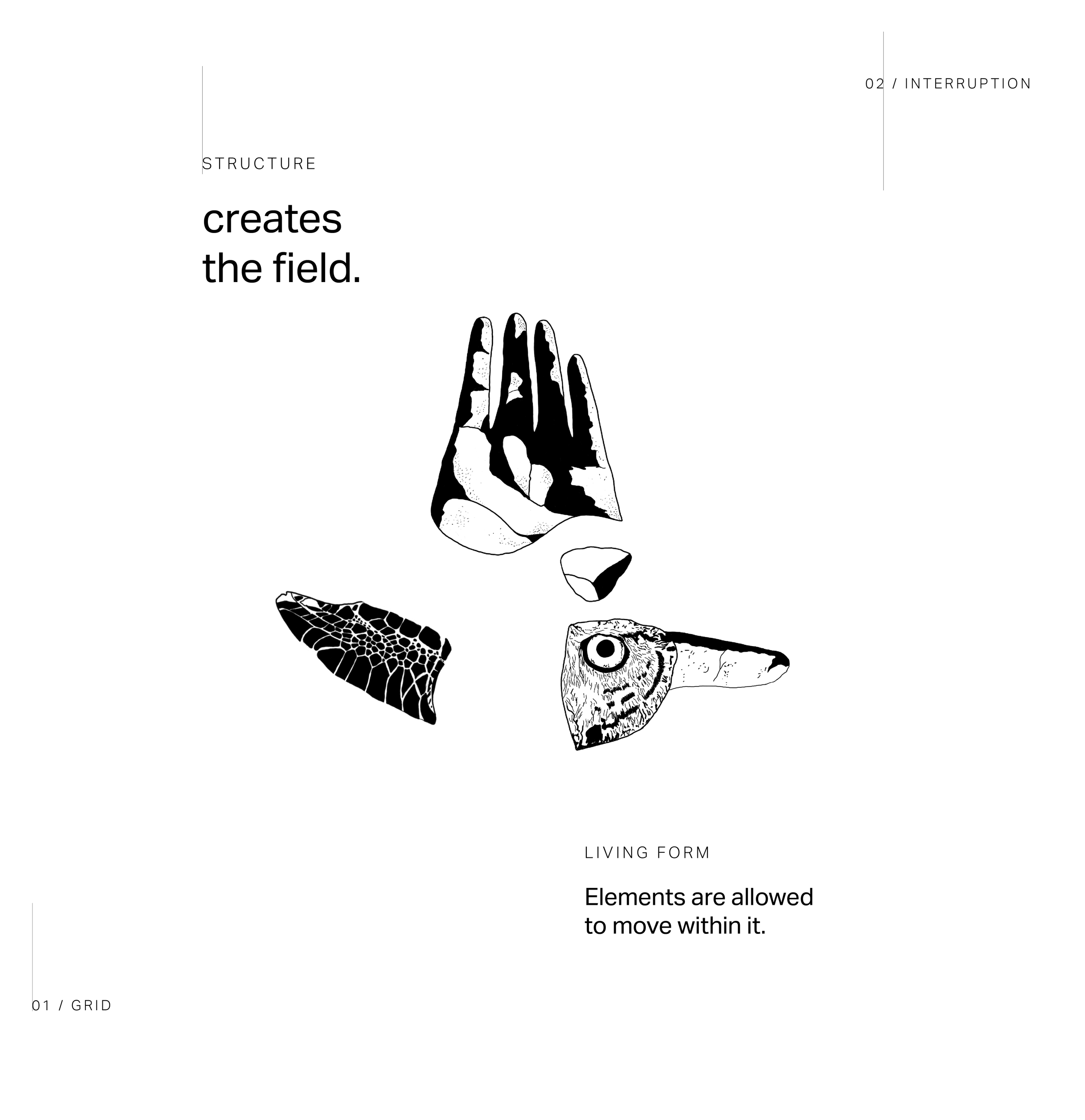02 / Structure + Living Form 